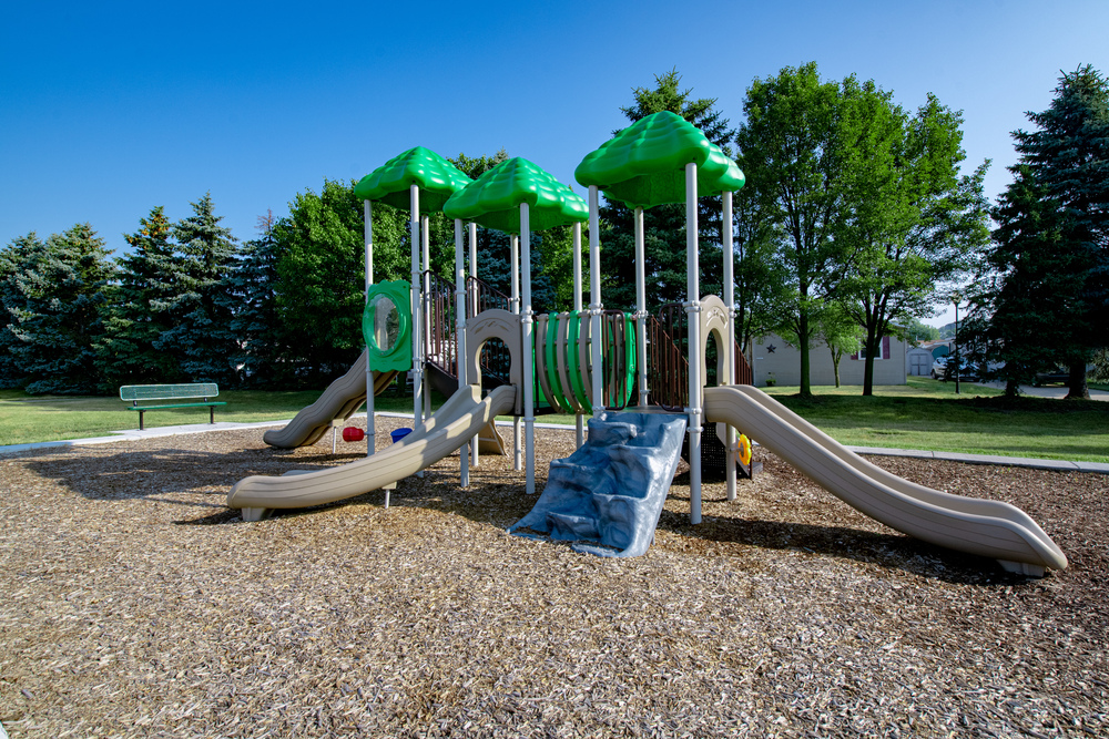 Community Image