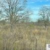 Mobile Home for Sale: 1 Bed 1 Bath Mobile Home