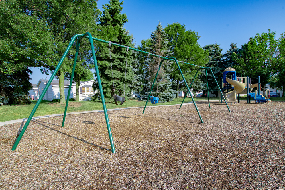 Community Image