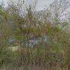 Mobile Home for Sale: 2001 Mobile Home