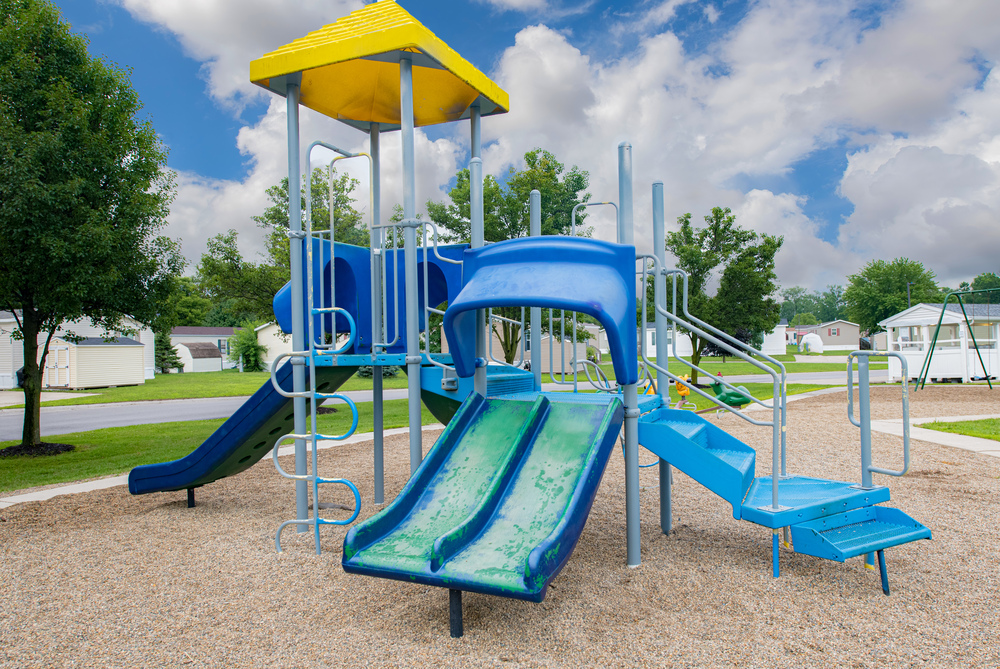 Community Image