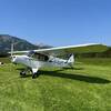 Aircraft for Sale: Piper PA-19 Super Cub